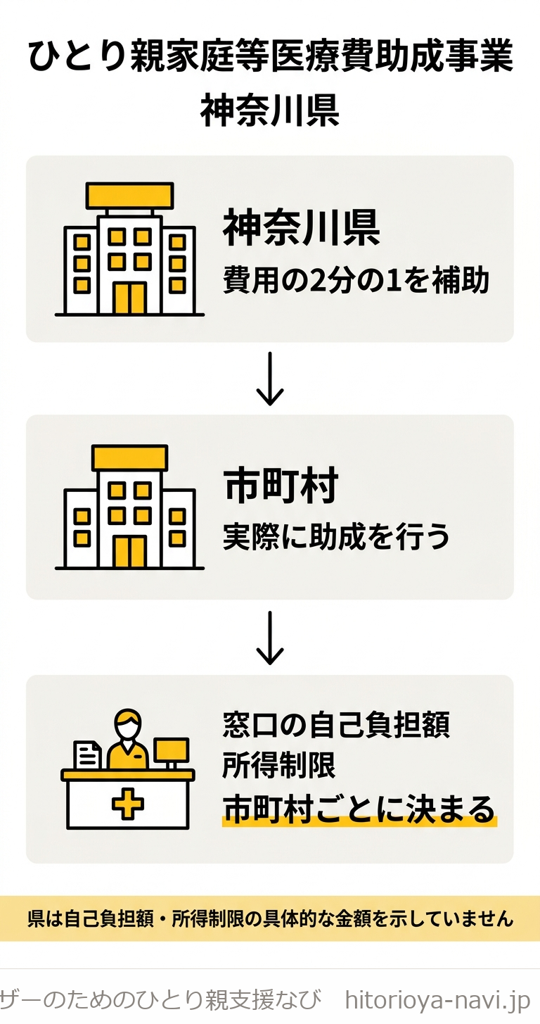 神奈川県のひとり親家庭等医療費助成事業のしくみ図。神奈川県が費用の2分の1を市町村に補助し、市町村が実際に助成を行い、窓口の自己負担額と所得制限は市町村ごとに決まるという3段階の流れを示す。下部に「県は自己負担額・所得制限の具体的な金額を示していません」という注記がある図解