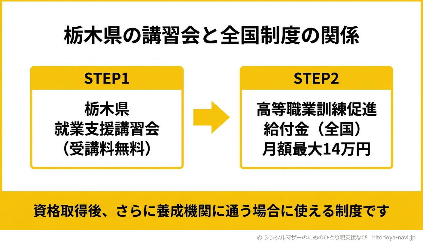 栃木県の就業支援講習会と全国の高等職業訓練促進給付金の関係を示すフロー図。STEP1は栃木県の就業支援講習会（受講料無料）で介護・医療事務等の資格研修を受ける段階、STEP2は全国制度の高等職業訓練促進給付金（月額最大14万円）で、資格取得後にさらに養成機関に通う場合に使える段階であることを示す図解
